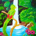 Rainforest Quetzal