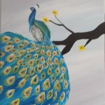 Peacock on a branch