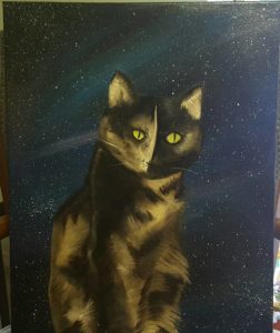 space cat